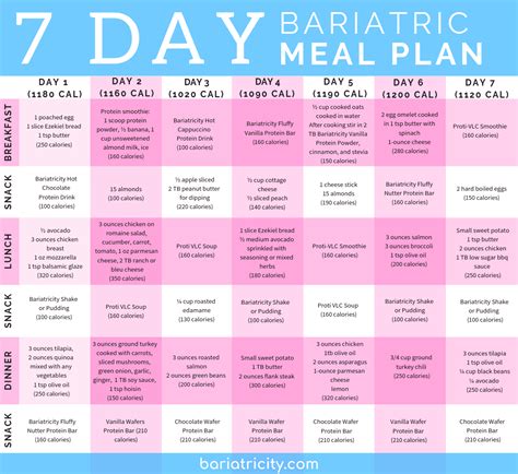 obesity bariatric daily meal plan
